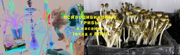 гашик Алзамай