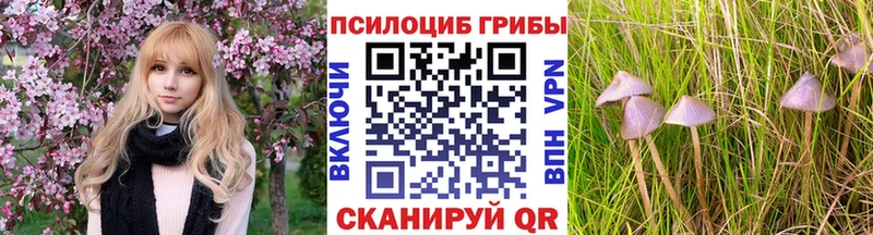 Галлюциногенные грибы мицелий  кракен tor  даркнет клад  где купить наркотик  Геленджик 